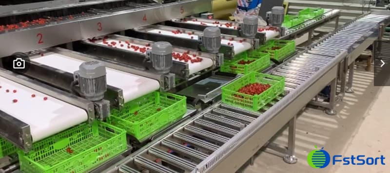 images/1650613146514automatic weighing system.jpg